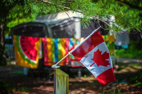 加拿大案例|培训机构的管理经验是否能被